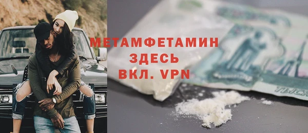 прущие грибы Пестово