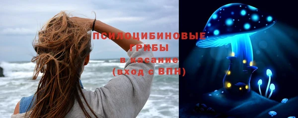 дмт Переславль-Залесский
