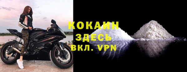 прущие грибы Пестово