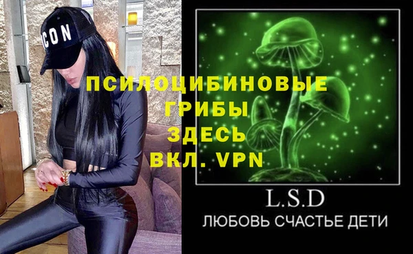 дмт Переславль-Залесский
