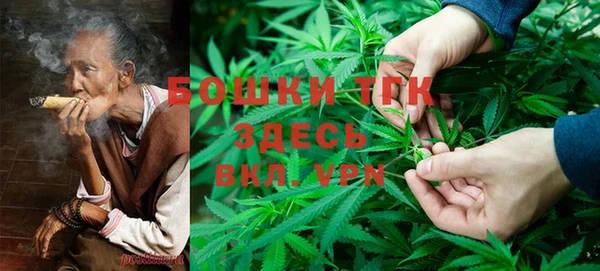 прущие грибы Пестово
