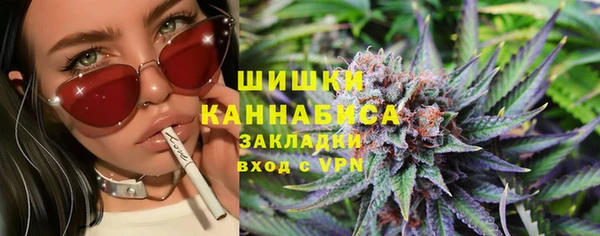 дмт Переславль-Залесский