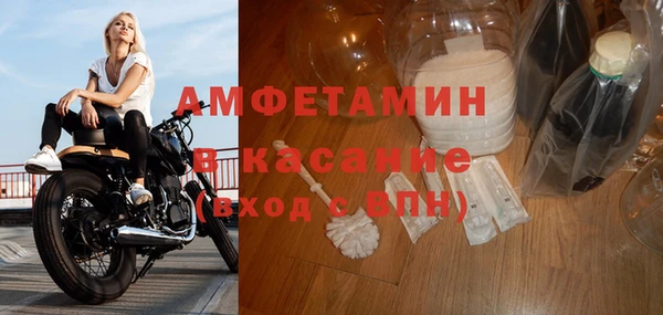 прущие грибы Пестово