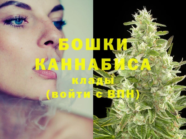 дмт Переславль-Залесский