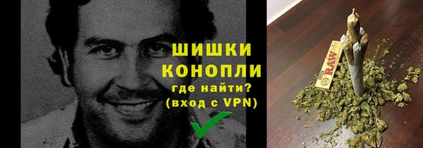 прущие грибы Пестово