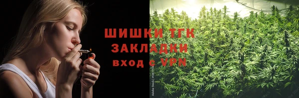 дмт Переславль-Залесский