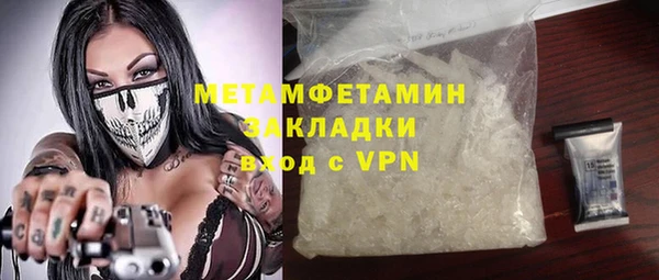 прущие грибы Пестово