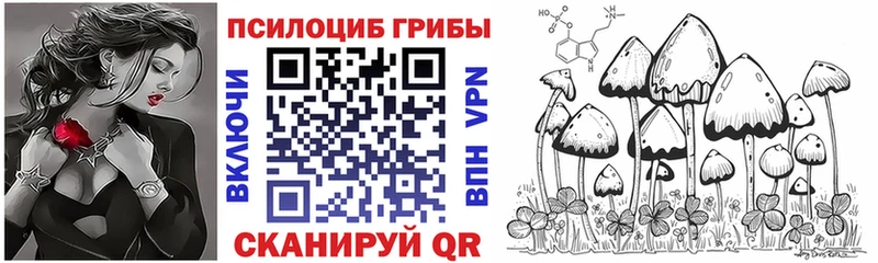 Псилоцибиновые грибы мухоморы  блэк спрут ССЫЛКА  Усть-Катав  наркота 